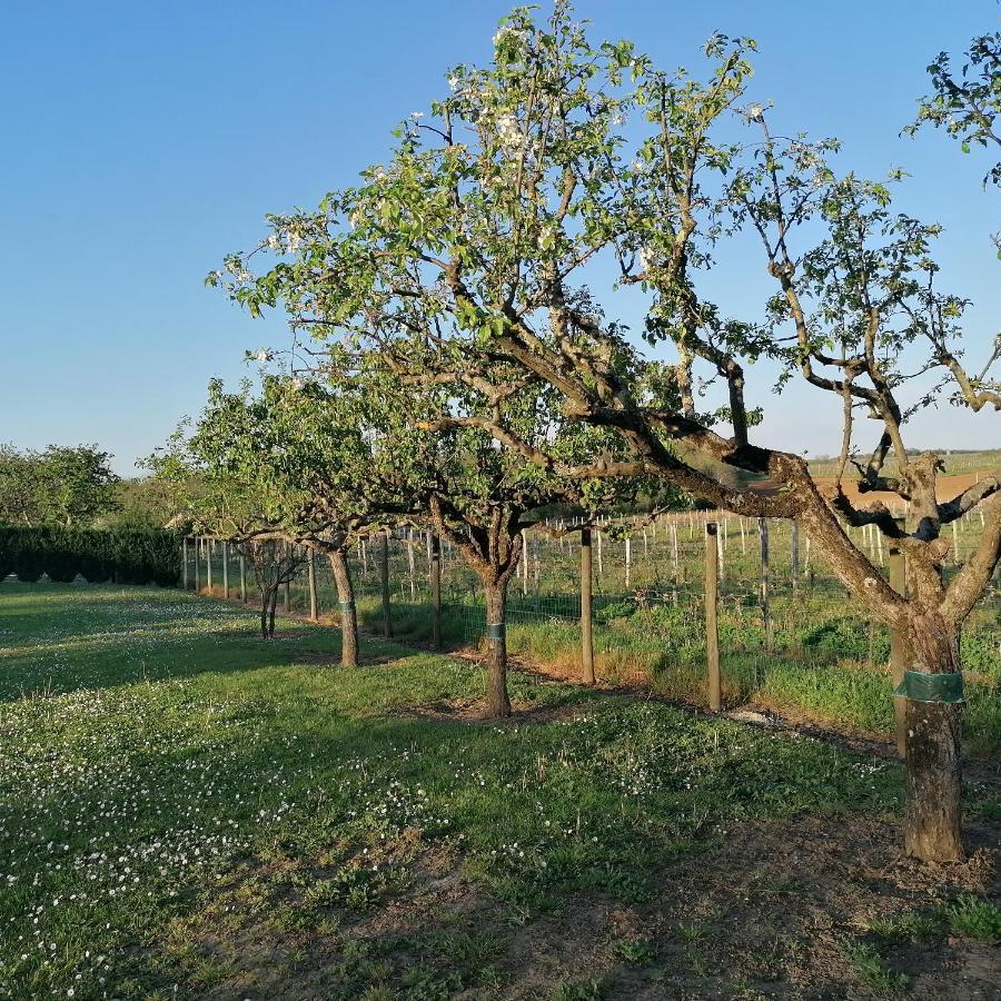 Le Marronnier Leilighet Saint-Vincent-de-Pertignas Eksteriør bilde