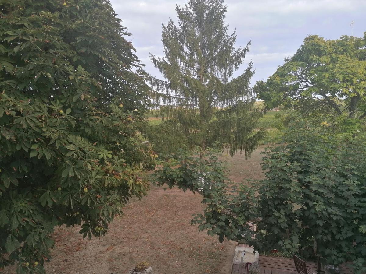 Le Marronnier Leilighet Saint-Vincent-de-Pertignas Eksteriør bilde